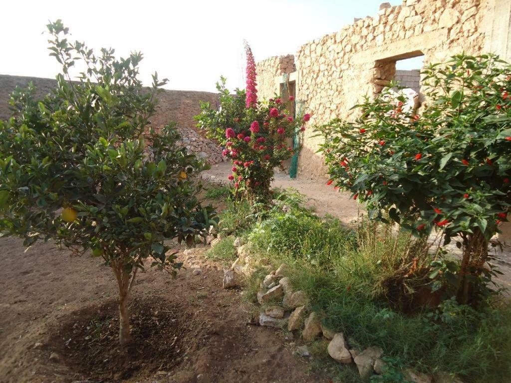 Takad Dream Rural Apartment Takate Luaran gambar